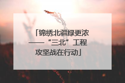 锦绣北疆绿更浓——“三北”工程攻坚战在行动