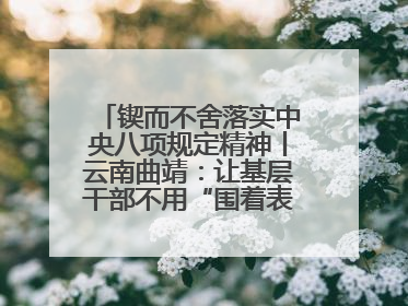 锲而不舍落实中央八项规定精神丨云南曲靖：让基层干部不用“围着表格转”