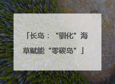 长岛：“驯化”海草赋能“零碳岛”