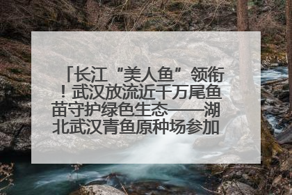 长江“美人鱼”领衔！武汉放流近千万尾鱼苗守护绿色生态——湖北武汉青鱼原种场参加2025年“全国放鱼日”增殖放流活动