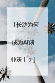 长沙为何成为AI创业沃土？