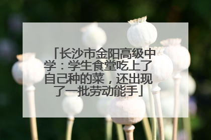 长沙市金阳高级中学：学生食堂吃上了自己种的菜，还出现了一批劳动能手