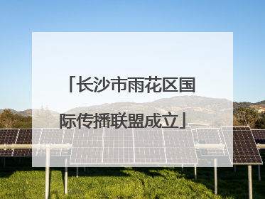 长沙市雨花区国际传播联盟成立