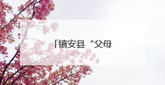 镇安县“父母学堂”进镇村为孩子成长护航