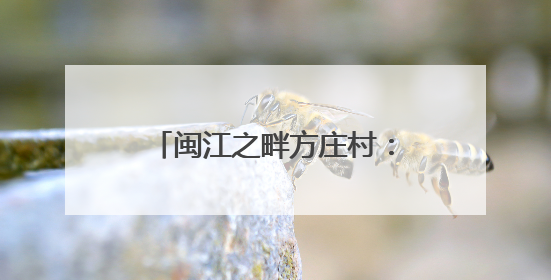 闽江之畔方庄村：智在匠心造龙舟