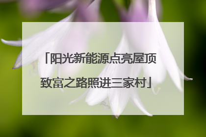 阳光新能源点亮屋顶 致富之路照进三家村