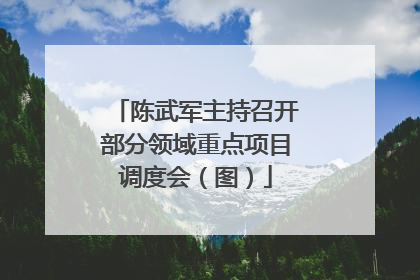 陈武军主持召开部分领域重点项目调度会（图）