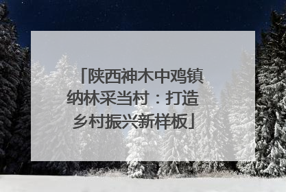 陕西神木中鸡镇纳林采当村：打造乡村振兴新样板