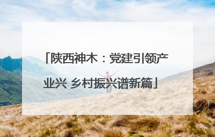 陕西神木：党建引领产业兴 乡村振兴谱新篇