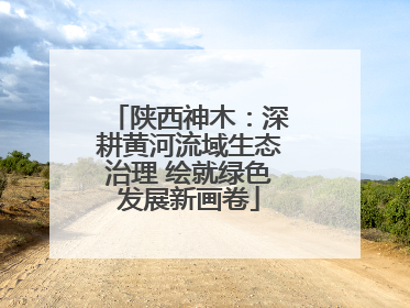 陕西神木：深耕黄河流域生态治理 绘就绿色发展新画卷