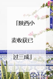 陕西小麦收获已过三成