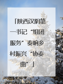 陕西汉阴第一书记“组团服务”奏响乡村振兴“协奏曲”
