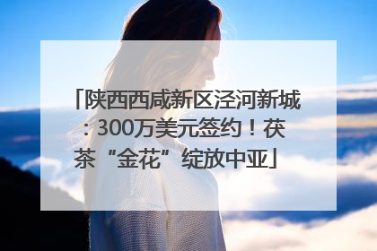 陕西西咸新区泾河新城：300万美元签约！茯茶“金花”绽放中亚