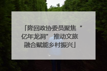 隆回政协委员聚焦“亿年龙洞” 推动文旅融合赋能乡村振兴