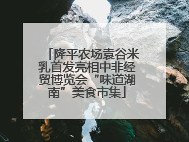 隆平农场袁谷米乳首发亮相中非经贸博览会“味道湖南”美食市集