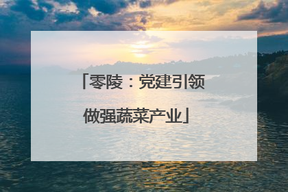 零陵：党建引领 做强蔬菜产业