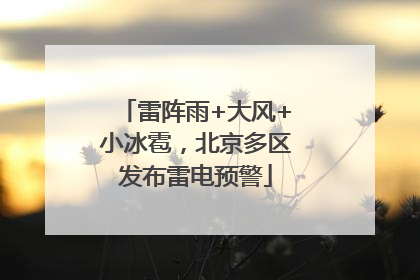 雷阵雨+大风+小冰雹，北京多区发布雷电预警