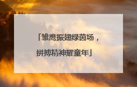 雏鹰振翅绿茵场，拼搏精神耀童年