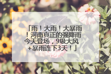 雨！大雨！大暴雨！河南真正的强降雨今天登场，9级大风+暴雨连下3天！