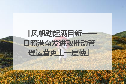 风帆劲起满目新——日照港奋发进取推动管理运营更上一层楼