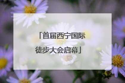 首届西宁国际徒步大会启幕