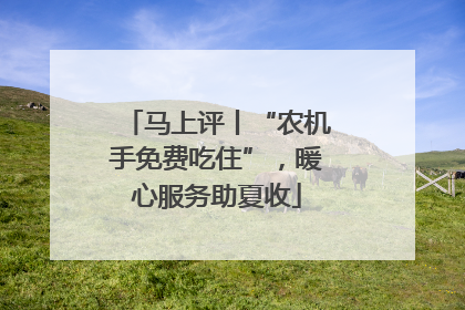 马上评丨“农机手免费吃住”，暖心服务助夏收