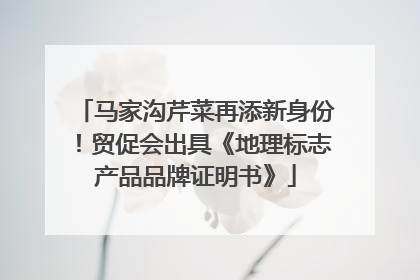 马家沟芹菜再添新身份！贸促会出具《地理标志产品品牌证明书》