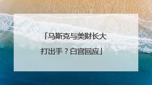 马斯克与美财长大打出手？白宫回应