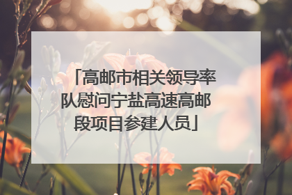 高邮市相关领导率队慰问宁盐高速高邮段项目参建人员