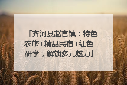 齐河县赵官镇：特色农旅+精品民宿+红色研学，解锁多元魅力