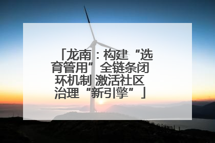 龙南：构建“选育管用”全链条闭环机制 激活社区治理“新引擎”
