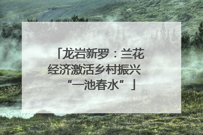 龙岩新罗：兰花经济激活乡村振兴“一池春水”