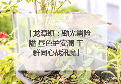 龙潭镇：锄光凿险隘 昼色护安澜 干群同心战汛魔
