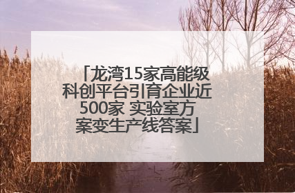 龙湾15家高能级科创平台引育企业近500家 实验室方案变生产线答案