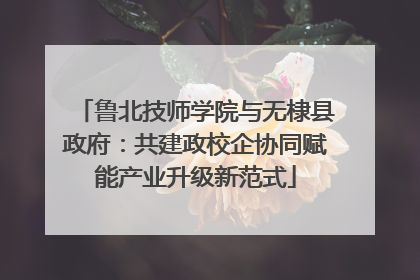 鲁北技师学院与无棣县政府：共建政校企协同赋能产业升级新范式