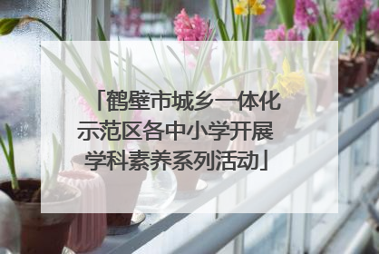 鹤壁市城乡一体化示范区各中小学开展学科素养系列活动