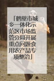 鹤壁市城乡一体化示范区市场监管分局开展重点问题食用农产品专项整治