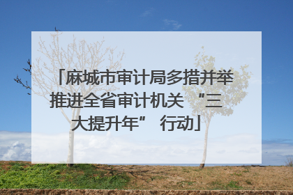 麻城市审计局多措并举推进全省审计机关 “三大提升年” 行动