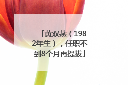 黄双燕（1982年生），任职不到8个月再提拔