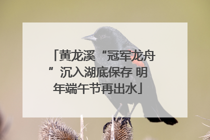 黄龙溪“冠军龙舟”沉入湖底保存 明年端午节再出水