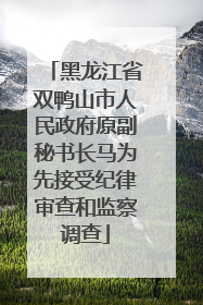 黑龙江省双鸭山市人民政府原副秘书长马为先接受纪律审查和监察调查