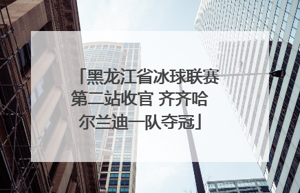 黑龙江省冰球联赛第二站收官 齐齐哈尔兰迪一队夺冠