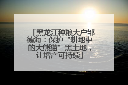 黑龙江种粮大户邹德海：保护“耕地中的大熊猫”黑土地，让增产可持续