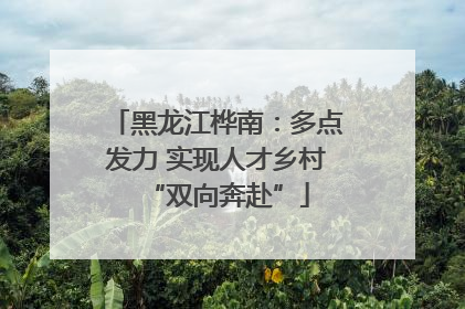 黑龙江桦南：多点发力 实现人才乡村“双向奔赴”