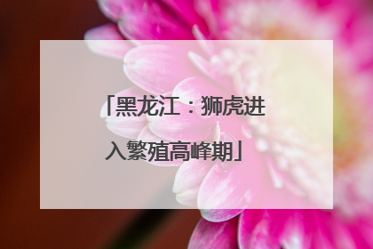 黑龙江：狮虎进入繁殖高峰期
