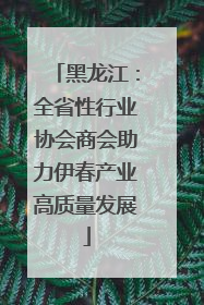 黑龙江：全省性行业协会商会助力伊春产业高质量发展