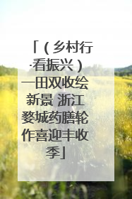（乡村行·看振兴）一田双收绘新景 浙江婺城药膳轮作喜迎丰收季