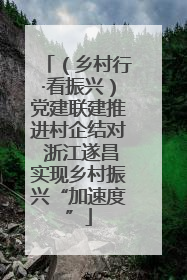 （乡村行·看振兴）党建联建推进村企结对 浙江遂昌实现乡村振兴“加速度”