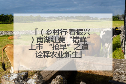 （乡村行·看振兴）南湖红菱“错峰”上市 “抢早”之道诠释农业新生
