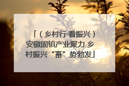 （乡村行·看振兴）安徽固镇产业聚力 乡村振兴“畜”势勃发